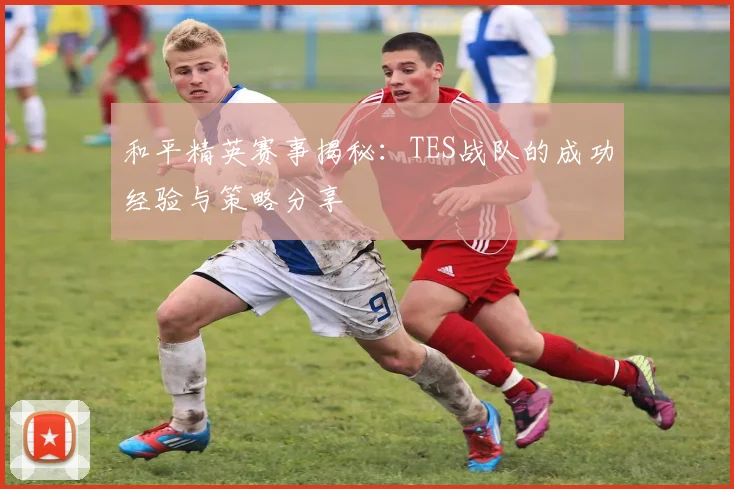 和平精英赛事揭秘：TES战队的成功经验与策略分享
