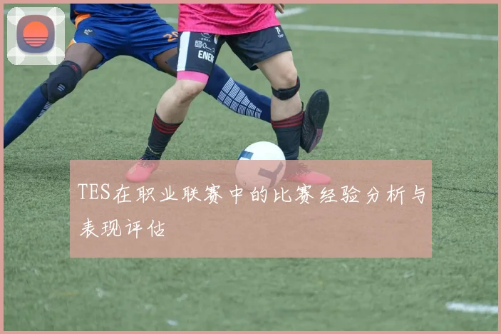 TES在职业联赛中的比赛经验分析与表现评估